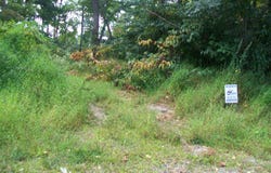 NATIVE TROUT DRIVE, SUGAR GROVE, WV 26815