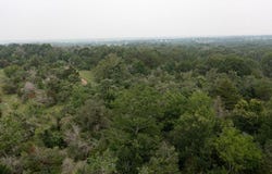 Private Road 4601 lot: 2, Waelder, TX 78959