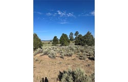 Tbd HWY 573, Tierra Amarilla, NM 87575