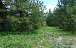 X11X HOAG RD, VALLEY, WA 99181