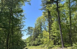 TALLMAN HOLLOW ROAD, Montoursville, PA 17754