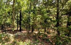 901 Primrose Lane, Horseshoe Bend, AR 72512