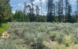 13054 Eld Lane, Donnelly, ID 83615