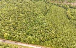 COUNTY ROAD 33 lot: 0, FRUITHURST, AL 36262