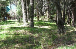 Tram Ln, WallowaLake, OR 97846