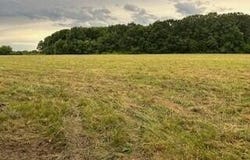 Tract 1 Lawrence 1210, Aurora, MO 65605
