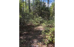 Sipsey Way, Tallahassee, FL 32305