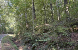 4.88 Acres Butler Mill Road, Grant, AL 35747