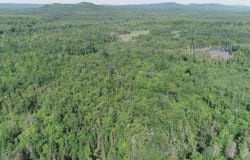 20 acres Brown Deer, Big Bay, MI 49808