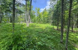xxx Crystal Lake Road, Barnum, MN 55707
