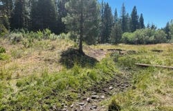 002 Ash Valley, Adin, CA 96006