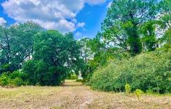 5000 BLOUNTS RIDGE ROAD, MIMS, FL 32754