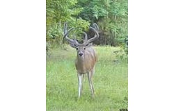 FM 852, Winnsboro, TX 75494
