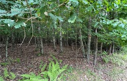 Live Oak Ln, Galax, VA 24333