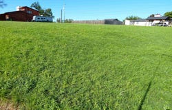 Tbd W Ollie Street, Llano, TX 78643-0000