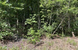 Lot 4 Keylon Hollow Road, Ten Mile, TN 37880