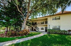 1729 SEASCAPE CIRCLE, TARPON SPRINGS, FL 34689