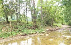 Tract 3b Route 4, Squires, MO 65755