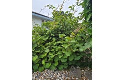 1736 Ensenada Ct, Santa Rosa, CA 95401
