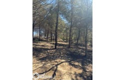 10380 Old Agency Road, Agency, IA 52501