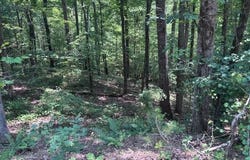 10090 Brazell, Chattahoochee Hills, GA 30213