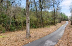 Nicholson Rd, Richton, MS 39476