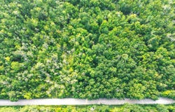 1797 Derby Road, Indian River, MI 49749