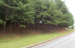 3533 Lake Ridge Drive, Gainesville, GA 30506