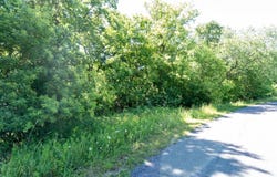 Lt14 BLUE HERON, Whitewater, WI 53190