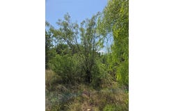 7143 Dillard Drive, Brownwood, TX 76801