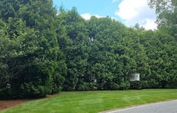 49 Lexington Court, Hudson, NH 03051