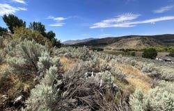 Pidcock, Inkom, ID 83245