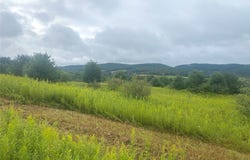 Rt-275, Friendship, NY 14739