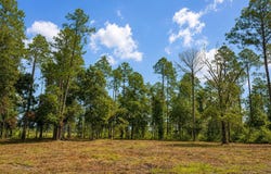 1629 Walker Springs Rd., Monticello, FL 32344