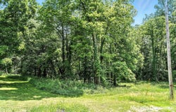 Parcel B W Irving Road, Middleville, MI 49333