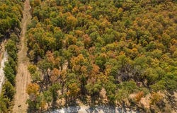 Lot 19 Restore Ridge, Harrison, AR 72601