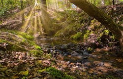 Ellijay, GA 30540