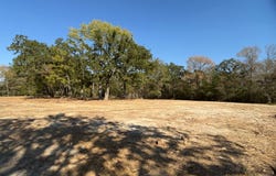12047 County Road 414, Somerville, TX 77879