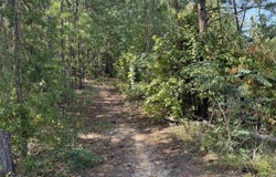 0 SIMS STREET, TALLADEGA, AL 35160