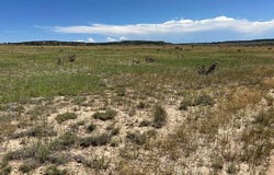 Outback Ranch lot: 4, Model, CO 81059