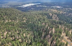 Nka Weaver Way, Deer Park, WA 99006