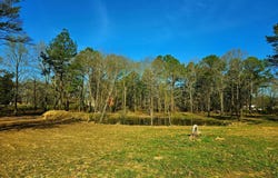 TBD 222nd Rd, Talihina, OK 74571