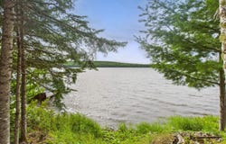 791 South Shore Road, Madawaska Lake Twp, ME 04783