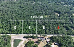 Par A W Almy Road, Howard City, MI 49329