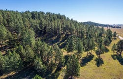 13604 Ghost Canyon Road, Hermosa, SD 57744