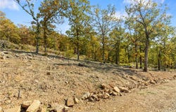 Lot 15 Peaceful  PL, Harrison, AR 72601