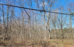 Panther Run Road lot: D423, Jim Thorpe, PA 18229