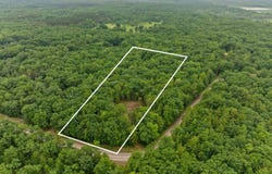 0 V/L Albrecht Road, Interlochen, MI 49643