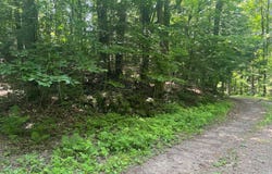17197 PATTI Lane, TOWNSEND, WI 54175