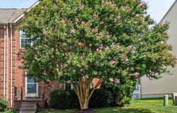 638 BERWICK COURT, ABINGDON, MD 21009
